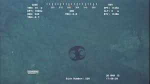 View 1 213 nsfw pictures and videos and enjoy gendertransformation with the endless random gallery on scrolller.com. Alien Looking Creature Transforming Near Ocean Floor At Over 3700 Feet Video From Rov Youtube