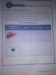Diketahui nilai kemiringan garis tangen adalah √3. Kegiatan 1 8 Bagian Bagian Tubuh Brainly Co Id