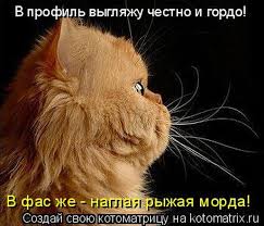 Клюев: Я невиновен и опровергаю все обвинения - Цензор.НЕТ 4127