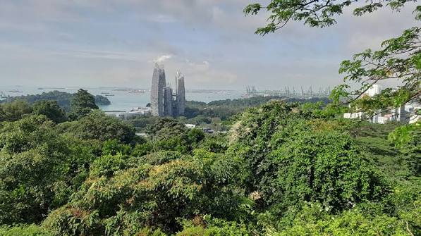 Mount Faber Park
