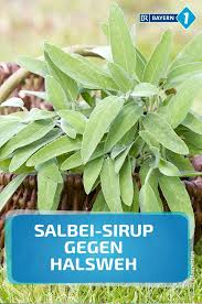 Salbei Sirup Rezept Fur Hausmittel Gegen Halsweh Br De Salbei Halsweh Sirup