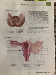 Understand the chromosomal basis of sex determination. Solved Anatomy Physiology Laboratory Textbook Essentials Chegg Com