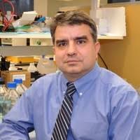 1100+ profilů „Godar“