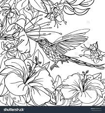 And for the hibiscus flower, use yellow for the petals, center orange and leaves green. Tropical Flower Coloring Page Creative Art