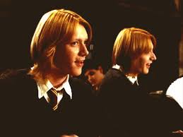 Who did pansy parkinson lose her virginity to? All The Reasons To Ship Fred And Hermione Frolic