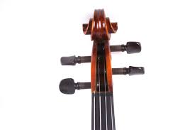 Image result for Viola eminii