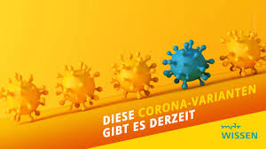 Aufgrund der genetischen ähnlichkeit mit der südafrikanischen variante b.1.351 wird aber auch für diese mutation eine erhöhte übertragbarkeit angenommen, wie das rki mitteilt. Alpha Beta Gamma Und Delta Die Corona Varianten Mdr De