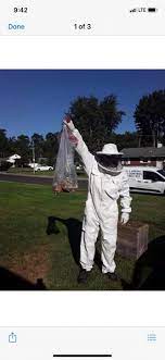 Can make all your companies, corporate or individuals pest control worries disappear. City Suburbs Pest Control Company Home Facebook