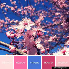 Japanese Cherry Blossom Pink And Blue Color Palette Inspiration Digital Art Palette And Brand Color Palet Skin Color Palette Color Palette Japanese Colors