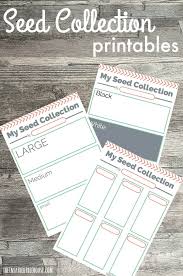 You can also find here consonants, vowel activities for kindergarten and vowels worksheets for kids here. Printable Activities For Kids Seed Collections The Inspired Treehouse