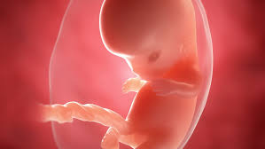 Check spelling or type a new query. 9 Semanas De Embarazo