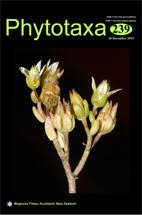 Image result for Isoglossa darbyshirei