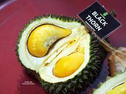 When the king of fruits season rolls around, all types of durians in malaysia go on display waiting to be savoured. Follow Me To Eat La Malaysian Food Blog Black Thorn Musang King Durian Feast At Durian King Ttdi