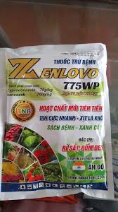 Zenlovo 775WP
