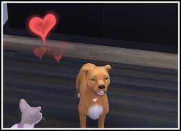 Pets, the two animals must get along with each other. Littlemssam S Sims 4 Mods Anti Heat Pill Pets This Mod Adds A New Treat
