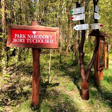 Bory tucholskie to jeden z trzech najmłodszych parków narodowych w polsce. Park Narodowy Bory Tucholskie Nationalpark