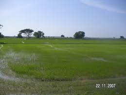 Sungai petani bölgesinde 24 otel içerisinde 1. Kota Kuala Muda 08500 Kota Kuala Muda Kedah Malaysia Mapio Net