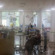 Белая плесень расцветает в сырых полуподвальных помещениях. Oceneny Riski Rasprostraneniya Indijskoj Chernoj Pleseni V Rossii Obshestvo Rossiya Lenta Ru