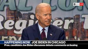 Image result for Bidens ugandensis