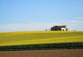 Risultati immagini per agriturismo