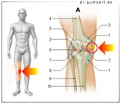 Best kinesio tape reviewed and rated. Innenbandriss Am Knie Wie Gefahrlich Ist Das