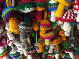 Los hongos alucinogenos que contienen psilocibina tienen un sabor acido lo cual entre mas acido sea el sabor mayor es la concentracion de psilocibina. Derrumbes En San Jose Del Pacifico Eduardo Santiago Ruiz
