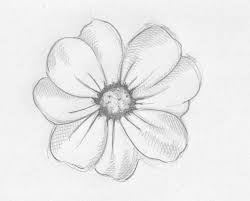 Easy Colored Pencil Drawings Of Flowers Flower pencil drawing tutorial learn pencil sketching pencil. easy colored pencil drawings of flowers