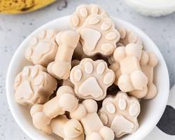 homemade banana and yogurt ice cream for dogsの画像