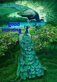 Pin By Dharamchand Jain On Amma Peacock Pictures Cross Paintings Animal Paintings