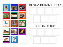 Hidup bisa berarti beberapa hal: Benda Hidup Dan Benda Bukan Hidup Csoportosito