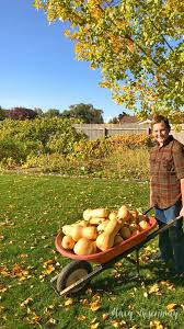 Just spread it out on a cookie sheet, and flash freeze it. Growing And Storing Butternut Squash Stacy Risenmay