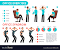 Deskercise
