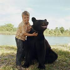 We did not find results for: Gentle Ben Tv Series 1967 1969 Imdb