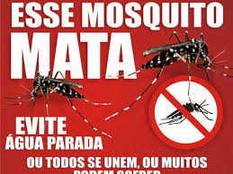 VARGINHA NET - Jornal InformaSION: TODOS CONTRA A DENGUE: MUTIRÃO DESSA  QUARTA É NO PINHEIROS E NO SÃO GERALDO