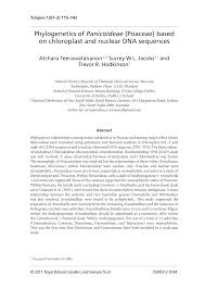 Image result for Danthoniopsis dinteri