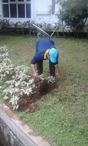 Beragam lowongan kerja tukang kebun di yogyakarta dan profesi lainnya dapat ditemukan di lokerjogja.id. Landscaping Di Komplek Perumahan Jasa Tukang Kebun Dan Taman