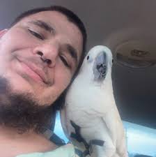 Can a Cyber truck tow a 4K lb boat from Barstow to Needles?