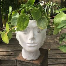 Barbara Feinstein (@b_fein_interiors) · Instagram photos and videos