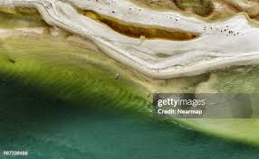 309 Sandy Soto Stock Photos, High-Res Pictures, and Images