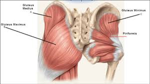 You might see a great play during the game, but you don't always think he makes it look good! Why Are Glutes So Important Read Our Guide To Strengthing Your Glutes