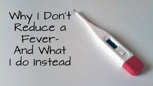 Why I Don T Reduce A Fever And What I Do Instead Fever Remedies Remedies Wellness Mama