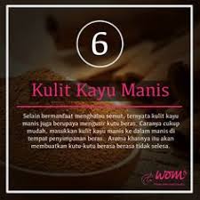 Kutu beras bisa datang dari mana saja. 8 7 Cara Berkesan Hapuskan Kutu Beras Ideas Beras Online Magazine Women Online
