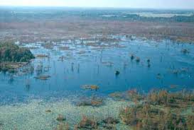 2020 sun graph for grand bay national wildlife refuge (alabama). Grand Bay Wma Wetlands Enhancement Project