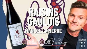 Domaine Marcel Lapierre