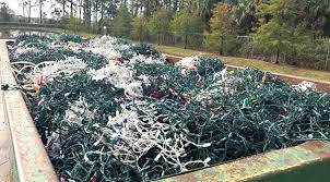 Brevard Trash Collection After Christmas 2022 Brevard Solid Waste Management Asks Citizens To Remove Christmas Lights  From Trees Before Disposing - Space Coast Daily