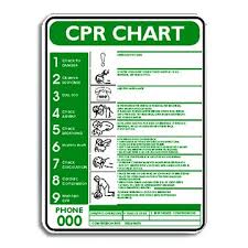 Cpr A4 Wall Chart