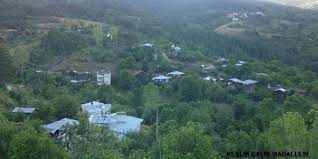 Maybe you would like to learn more about one of these? Bozkurt Keslik Koyu