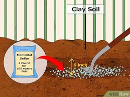 By now you already know that, whatever you are looking for, you're sure to find it on aliexpress. How To Acidify Soil 14 Steps With Pictures Wikihow