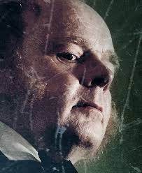 Jonathan Pryce as Sir Stuart Strange