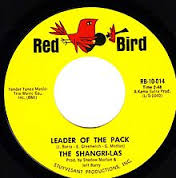 Image result for Leader of the Pack  images